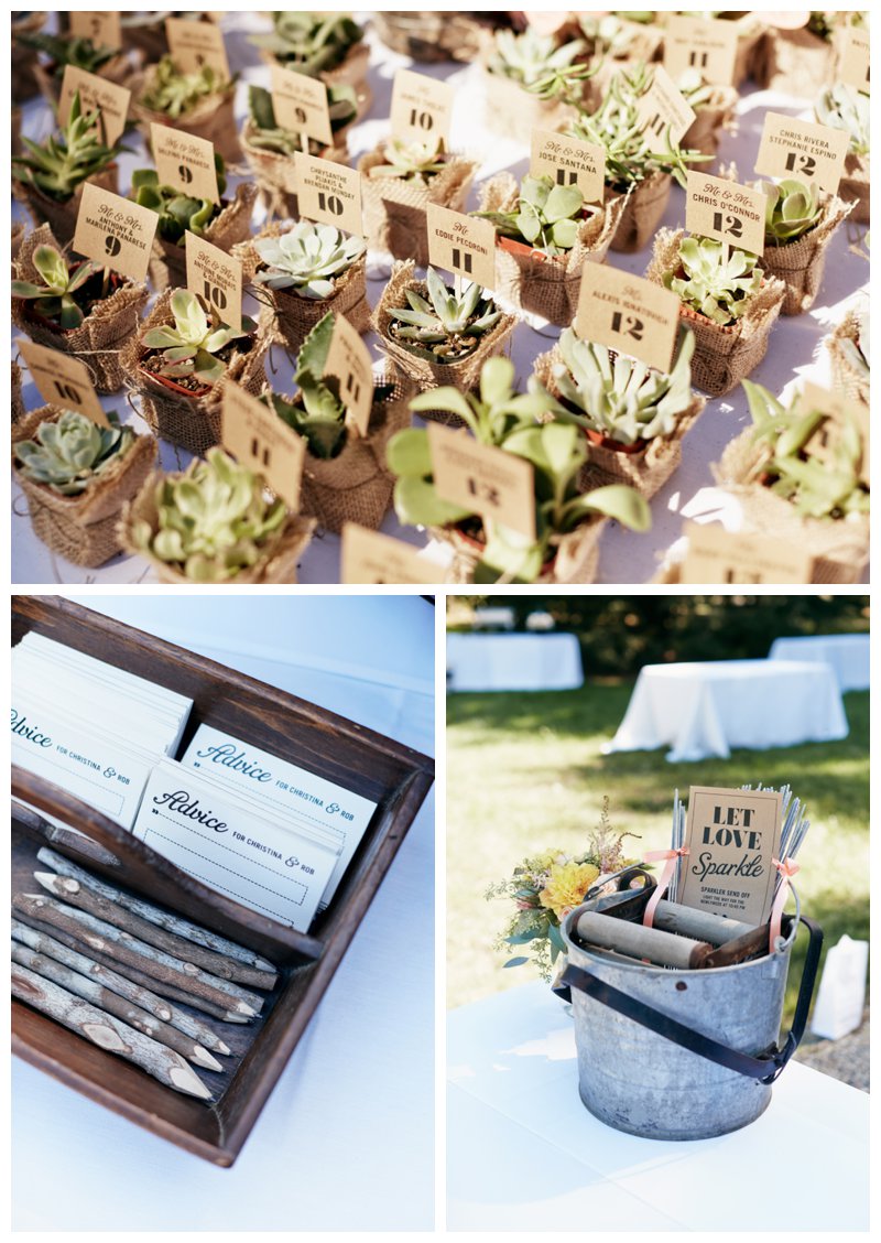 Succulent Plant Wedding Favors